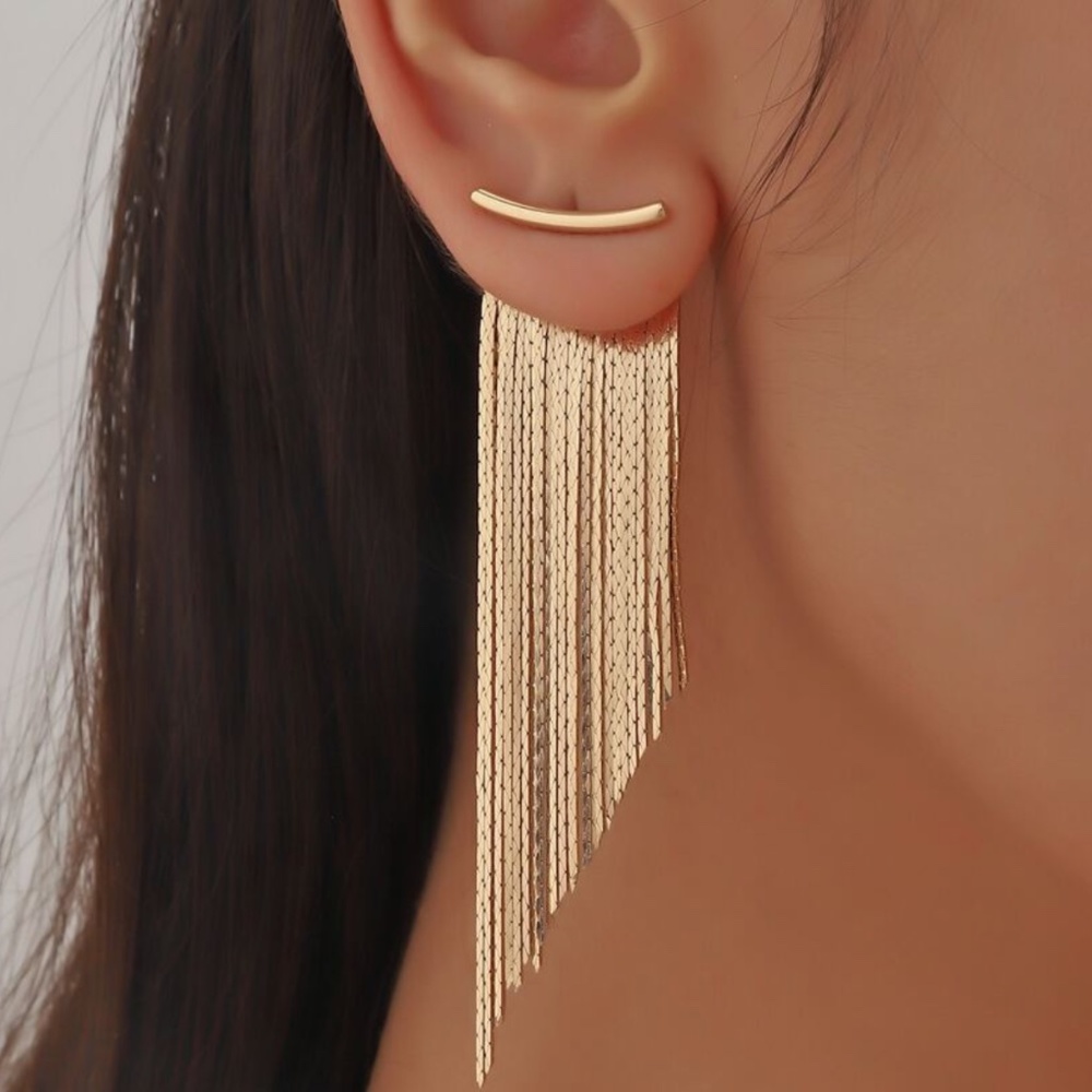 Minimalist Fringe Long Earrings - Picture 7 of 10